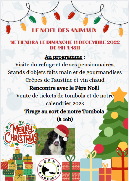 Noël des animaux