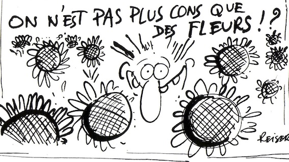 On n'est pas plus cons que des fleurs ?!