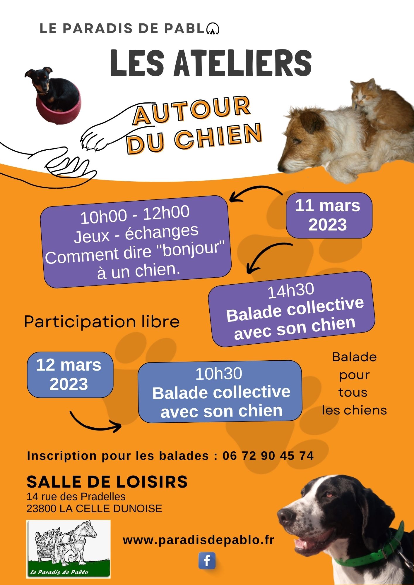 Autour du chien