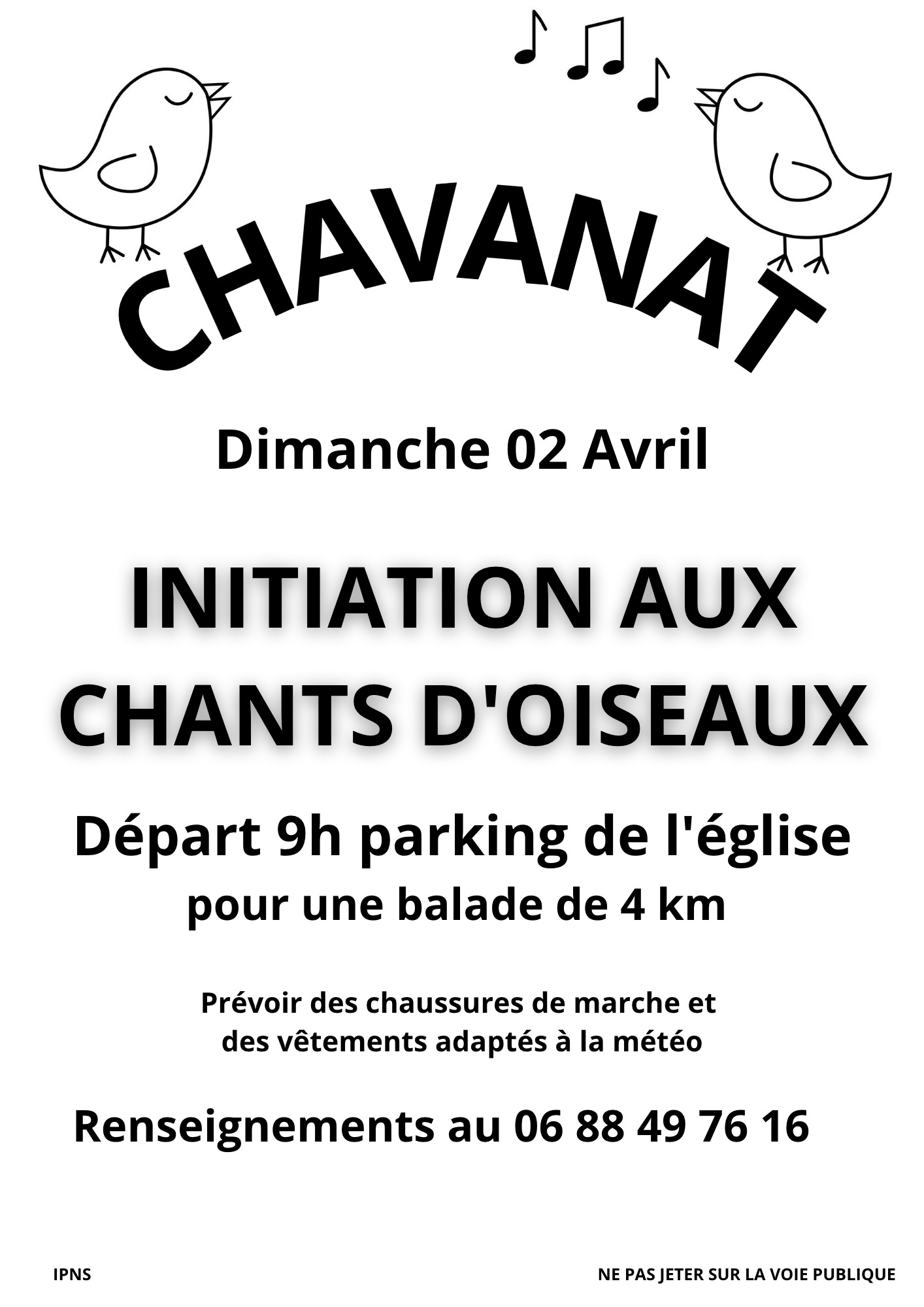 Initiation aux chants d'oiseaux