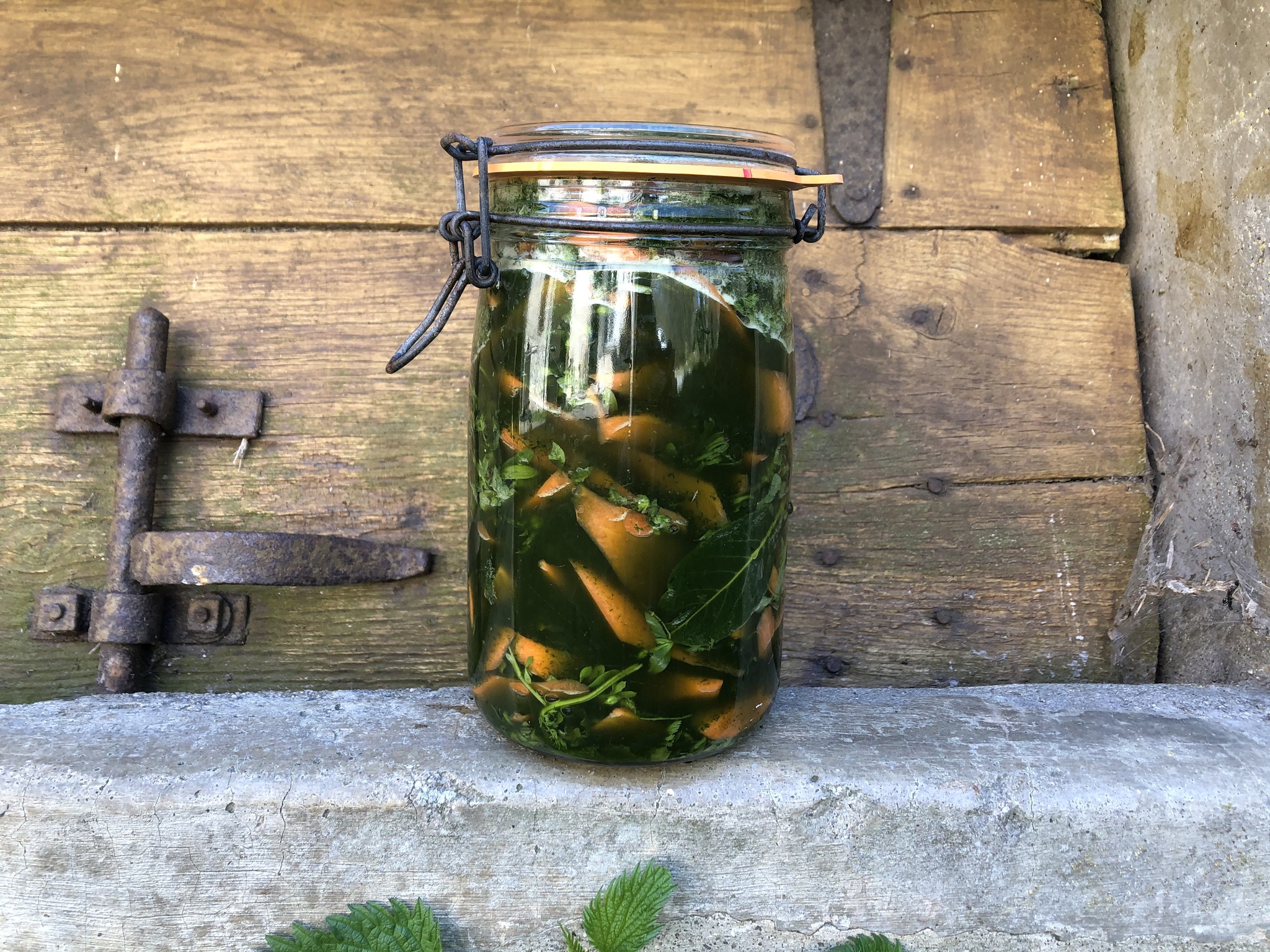 Atelier lacto-fermentation