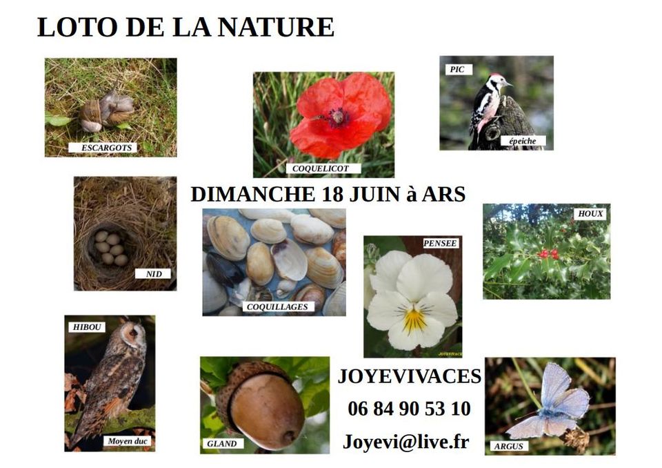 Loto de la nature