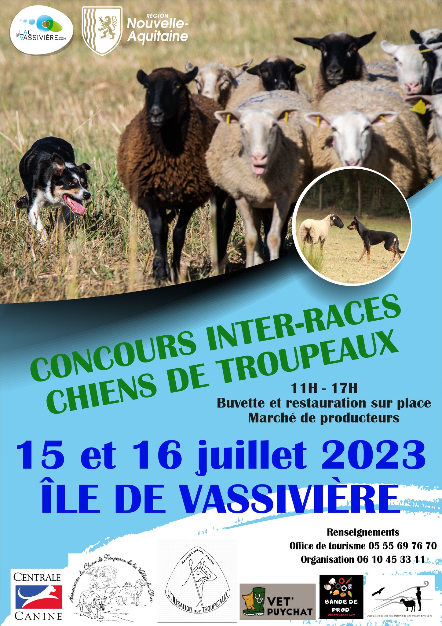 Concours chiens de troupeau