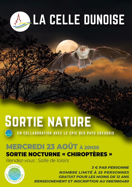 Sortie nocturne « chiropères »