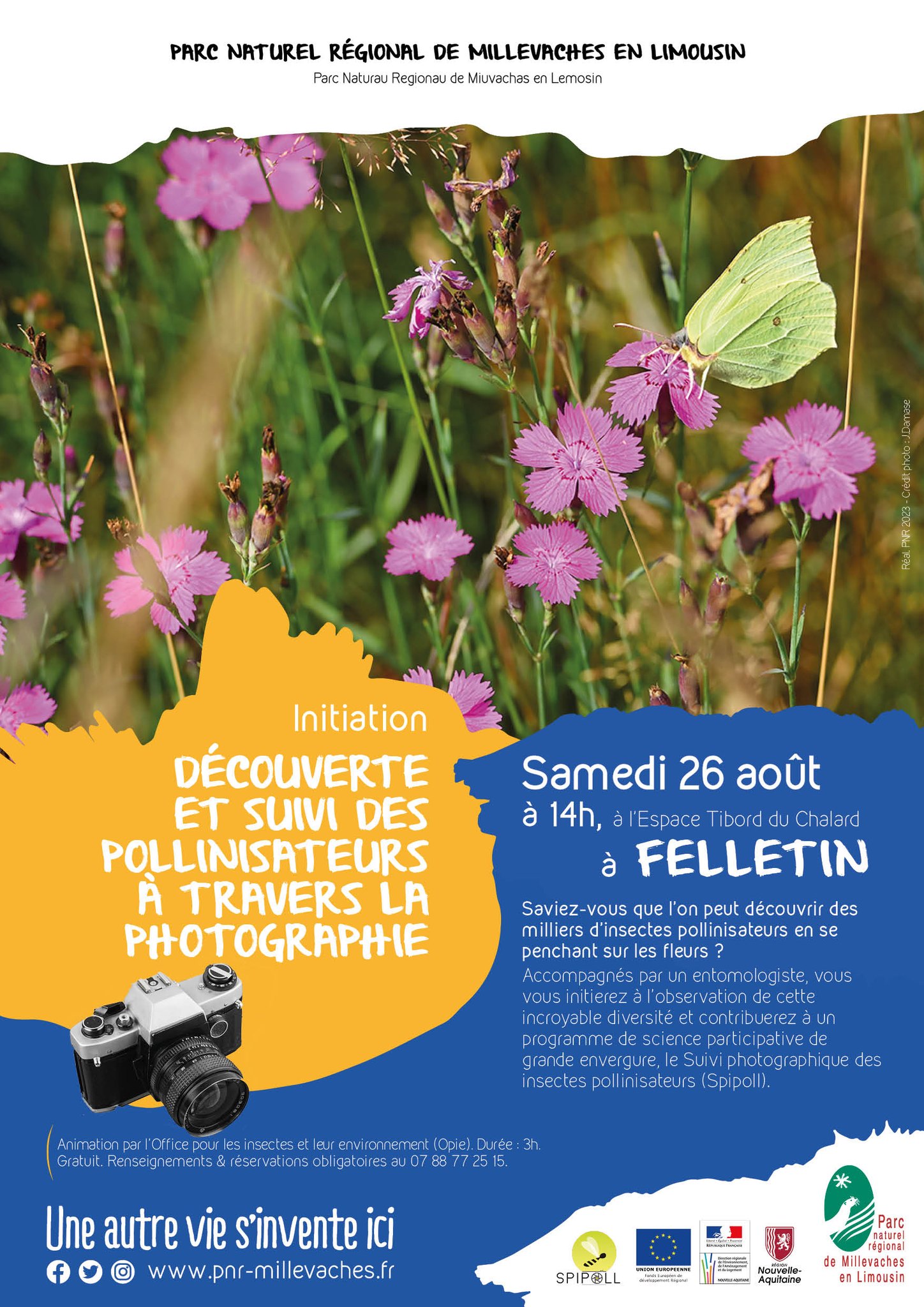 Découverte et suivi des pollinisateurs