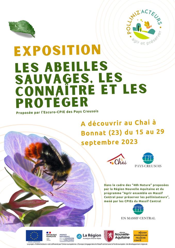 Les abeilles sauvages