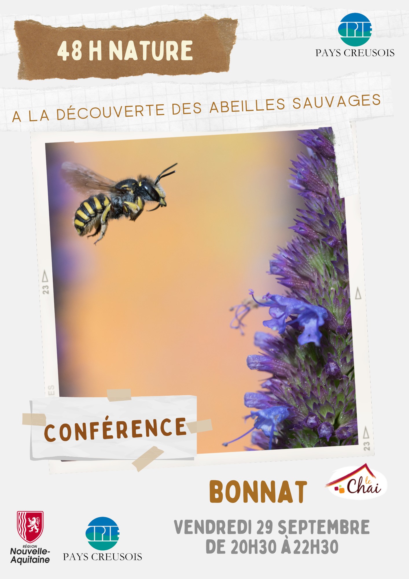 À la découverte des abeilles sauvages