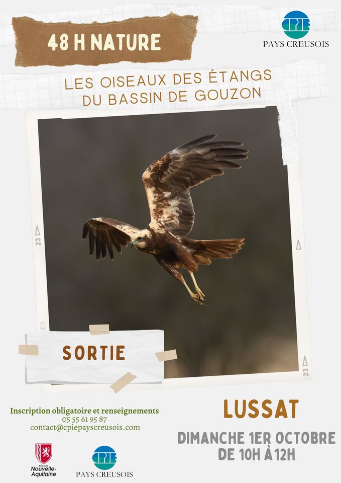 Les oiseaux des étangs du bassin de Gouzon