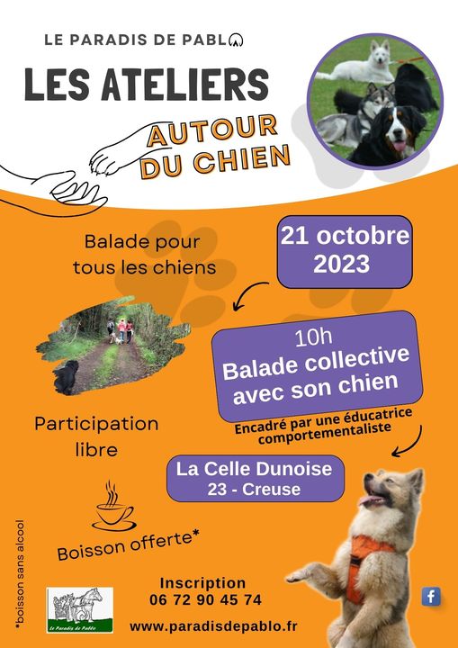 Les ateliers autour du chien