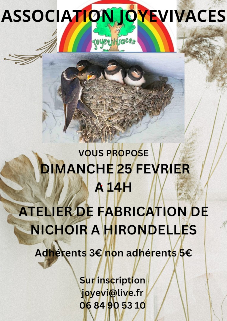 Atelier fabrication nichoir à hirondelles