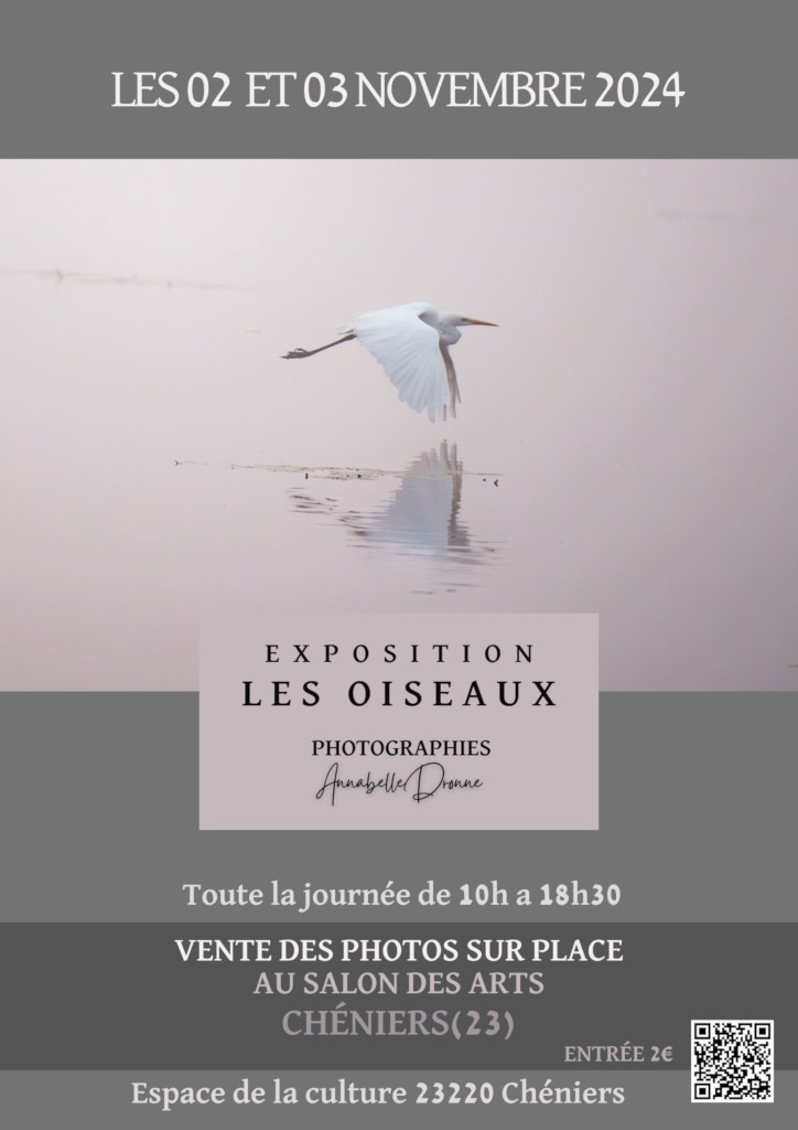 Les oiseaux