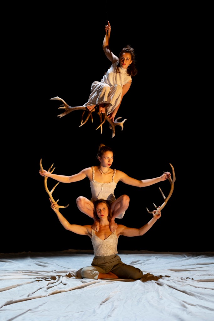Faune